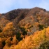 【超清日本】第一视角 从秋天到冬天美丽的户隐 里山 (1080P高清版) 2021.11