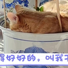 睡得好好的，叫我干啥