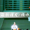 萌新训龙/微燃/光遇渊