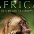 【纪录片】非洲：发现未知 (2013)[5集]中英双语特效字幕 Africa: Eye To Eye With The 