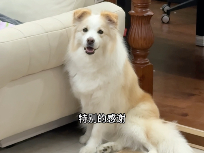 关于昨天视频的统一回复