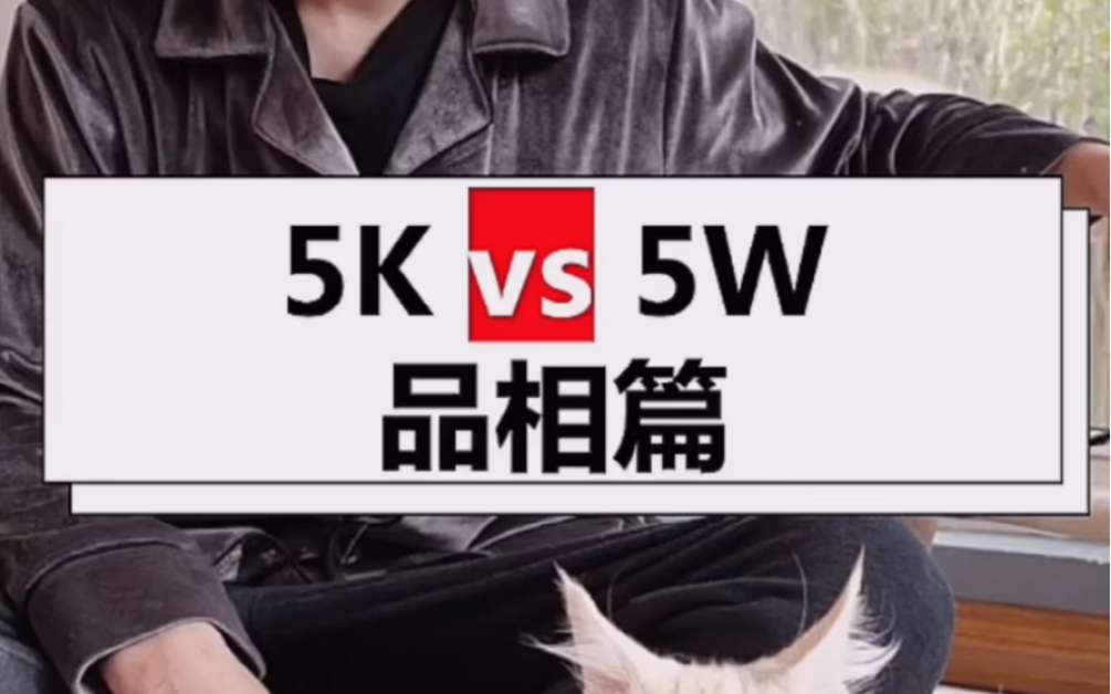 缅因猫5K vs 5W差别到底在哪里？