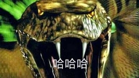 最大的蛇泰坦巨蟒照片 29c3e80b32f38a1c4ed297b53da6aa94efc07e38.jpg@280w_158h_1c_100q.jpg