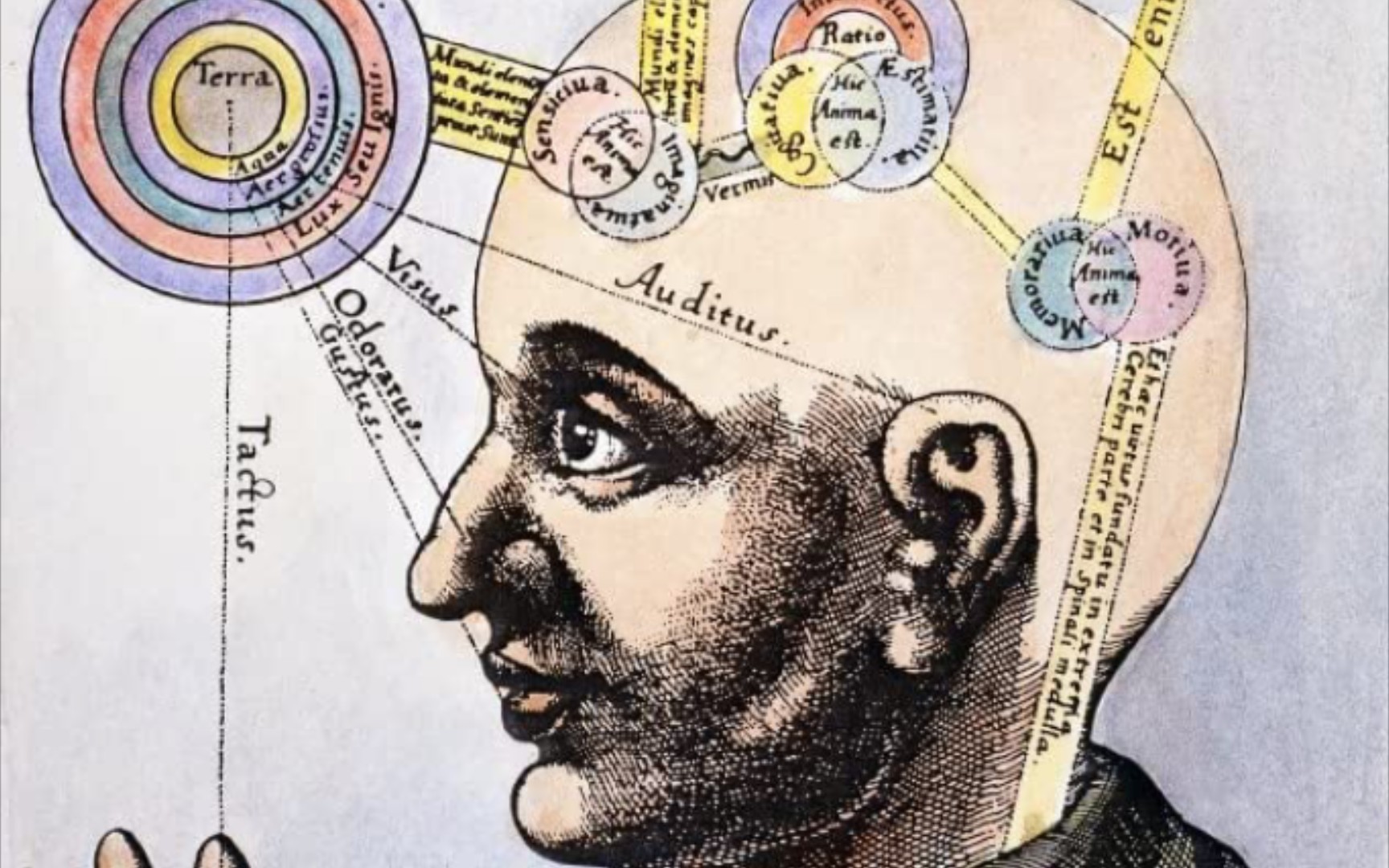 神秘学是如何有效的?一个认知科学的视角穹印之源穹印之源哔哩哔哩视频