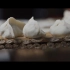Vlog010：吃饺子的“仪式感”【A7M3+90/2.8微距拍摄】