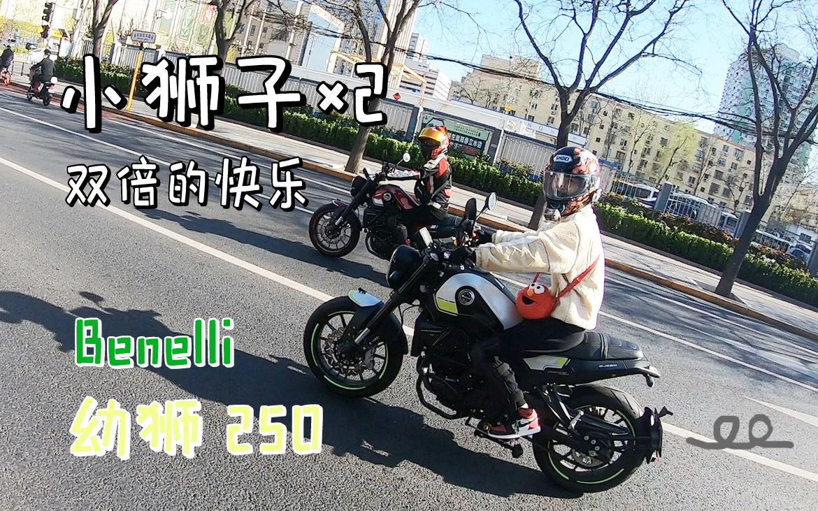 [通勤]Ninja650：路遇两只小狮子 不对！是小小狮子--幼狮250（女孩子骑啥都帅..）