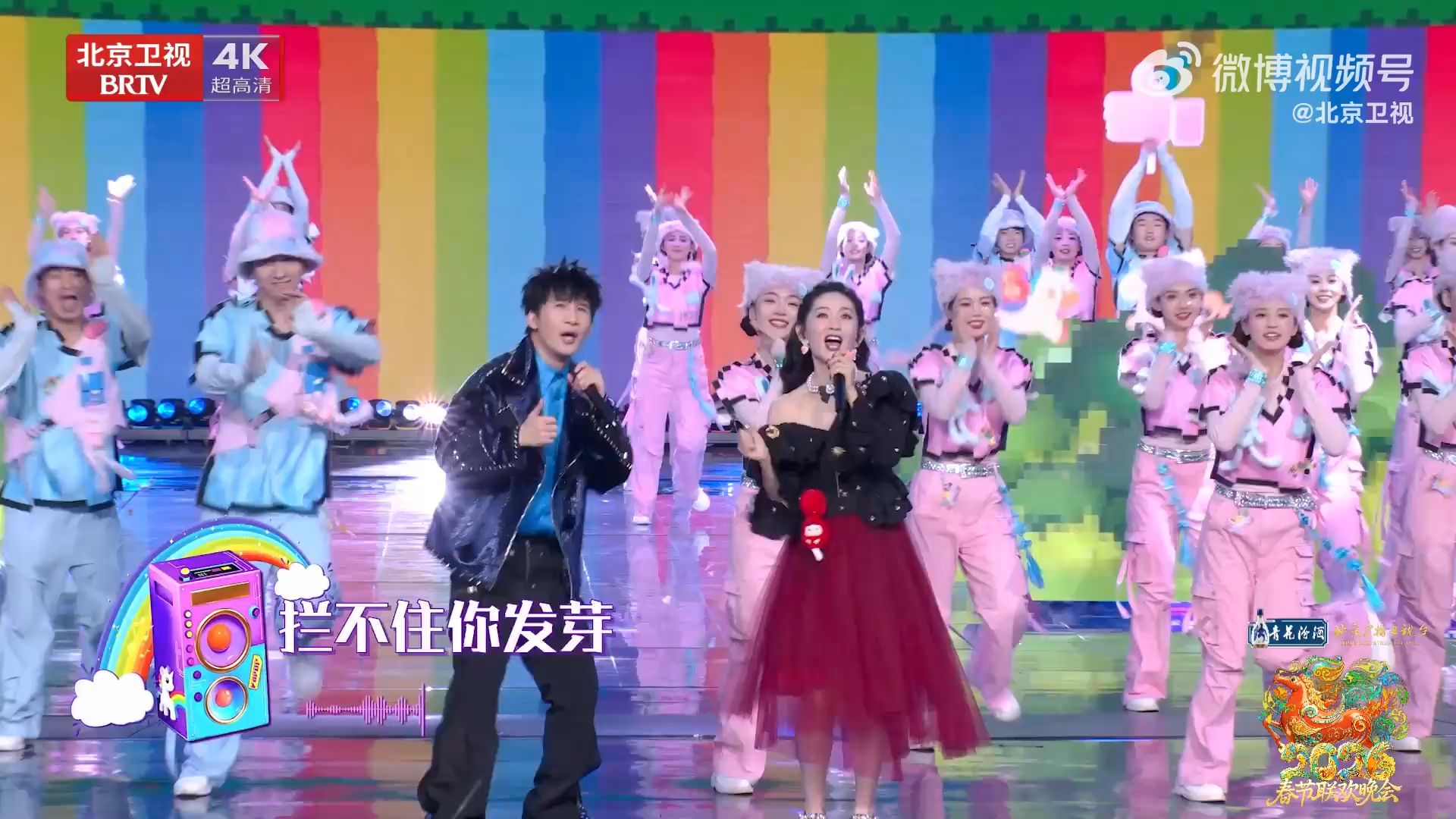 大张伟 、谢娜《阳光彩虹小白马》【2026北京卫视春节联欢晚会】