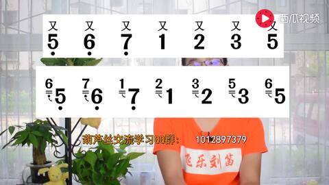 葫芦丝金色的孔雀曲谱_金色孔雀(3)