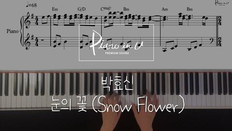 钢琴古筝双人合奏曲谱简谱_大鱼钢琴古筝合奏曲谱(2)