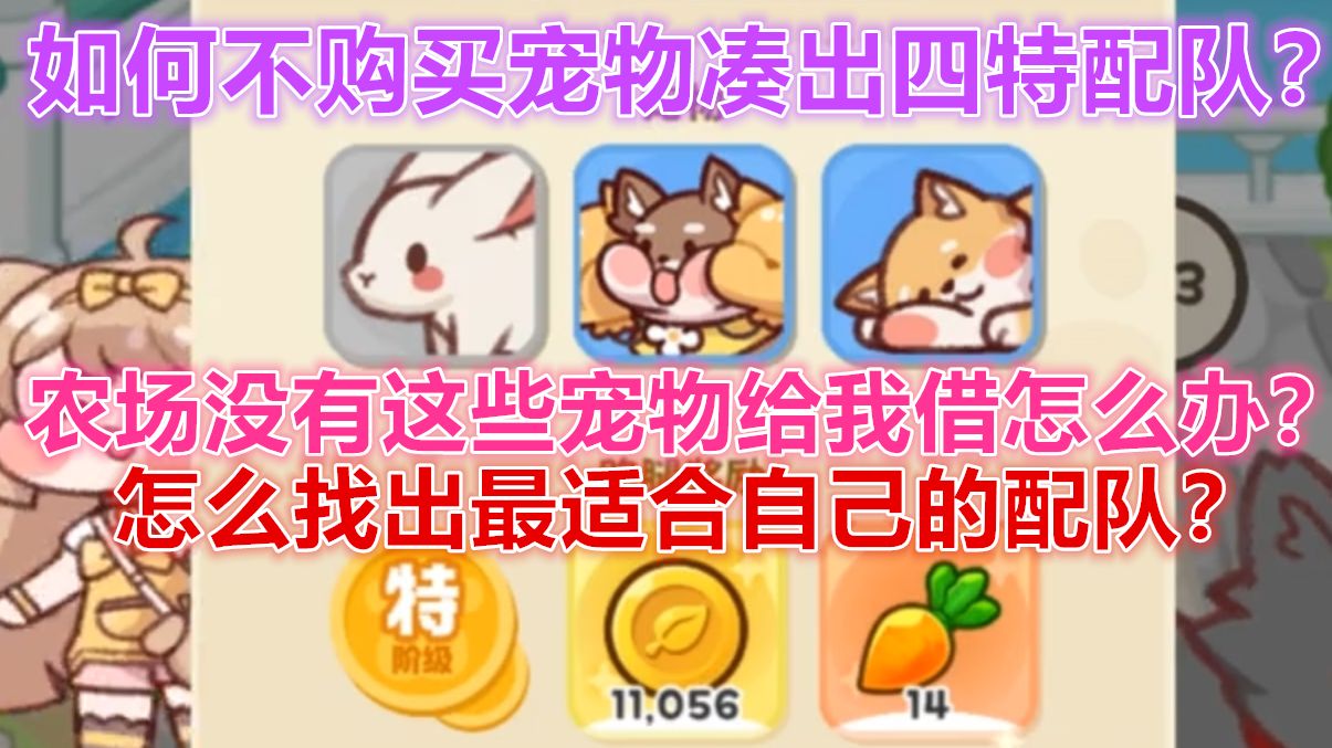 【嘟嘟脸恶作剧】仙灵王国宠物派遣最优方案！无需额外购买宠物！