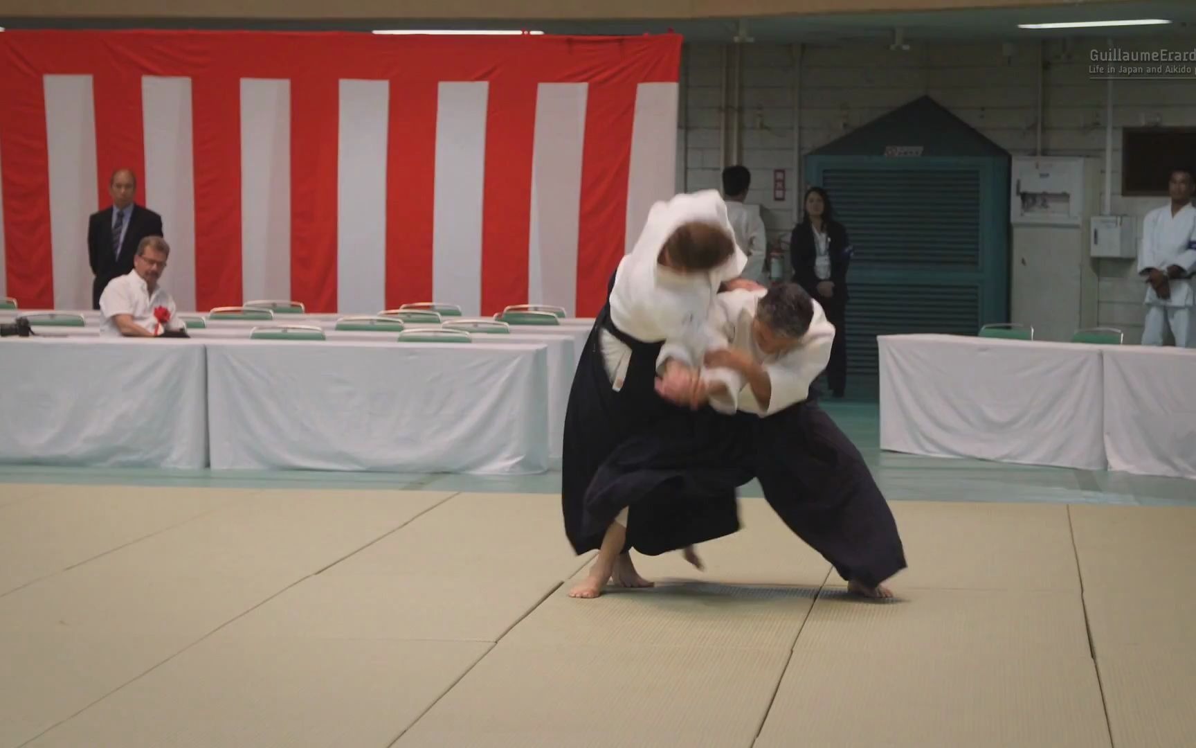 合气道安野正敏师范八段2017年第55届全日本合气道演武大会