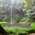 热带雨林里的小瀑布伴随动物和鸟叫，让身心的放松，快速入眠