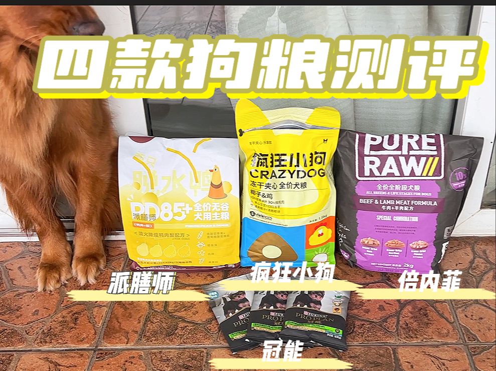 铲屎官必看！选好的狗粮，给狗狗的健康与快乐加码！