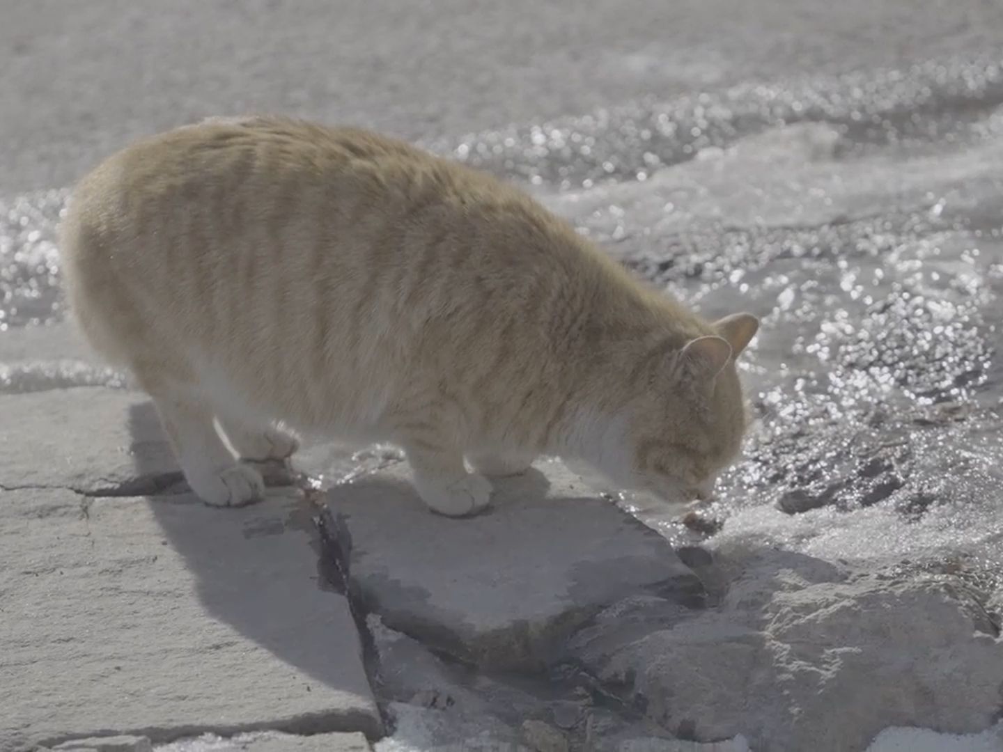 达芬奇调色练习素材分享 192