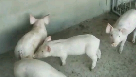 2a59da4e9409f6c2cf9ae87655e19b82d0873a9e.jpg@280w_158h_1c_100q.jpg