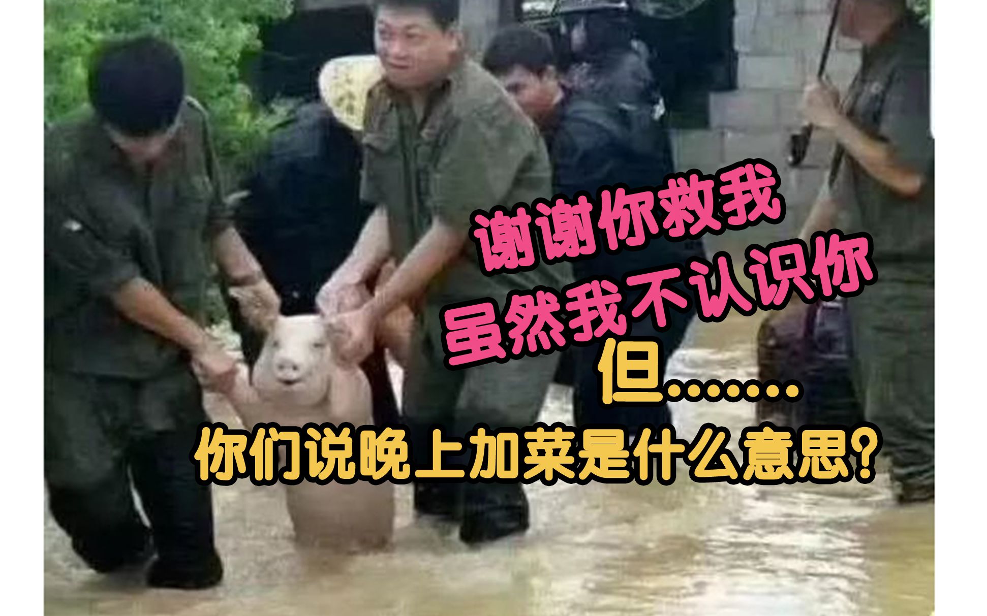 网上沙雕搞笑图片第二弹