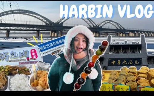 零下20度的哈尔滨CITY WALK是什么样的体验⎮台湾小土豆的哈尔滨VLOG