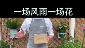 2a86b3545c039f5ea6ba858c44d59d3b7a263acc.jpg@280w_158h_1c_100q.jpg