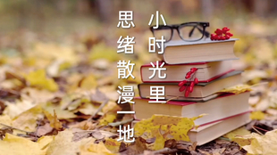 2aa4a9cf8a627e7064254de1c63bb53a89a5e5d6.jpg@310w_174h_1c_100q.jpg