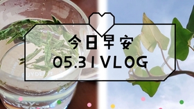 拆快递的说说 2aaea1ceda882570b39b7e23613fdaa0893ae471.jpg@280w_158h_1c_100q.jpg