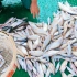 新年初九市场现状，很多客户要求海鲜发快递，黄姑鱼杂鱼铺满船板