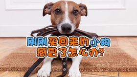 2ad745568160446ec13b6f5f9491e7030d2e913f.jpg@280w_158h_1c_100q.jpg
