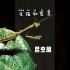 八下生物知识点第4集：昆虫的生殖和发育