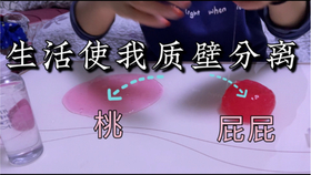 2aeed3966b860e403ed629ff2bb376e507f8223a.jpg@280w_158h_1c_100q.jpg