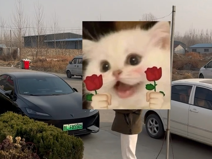 为什么不坐长安车