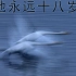 [老E 录播] 9.30晚上 超级鹅遨游鱼塘