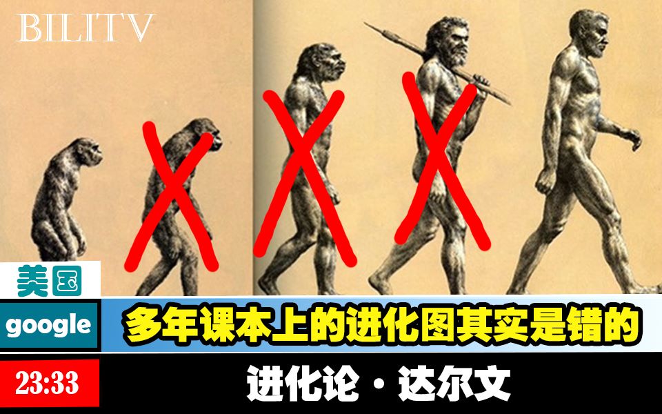 课本上人类进化图其实是错的进化论被推翻了
