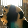 20170715绩麻带成实录屏