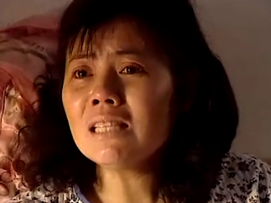 走过柳源13