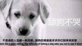 什么是舔狗什么是备胎 2b605bee2cbf4de352d585e283df2f9f42a4cbc6.jpg@280w_158h_1c_100q.jpg