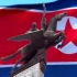 朝鲜国歌《爱国歌》（朝鲜文字幕）