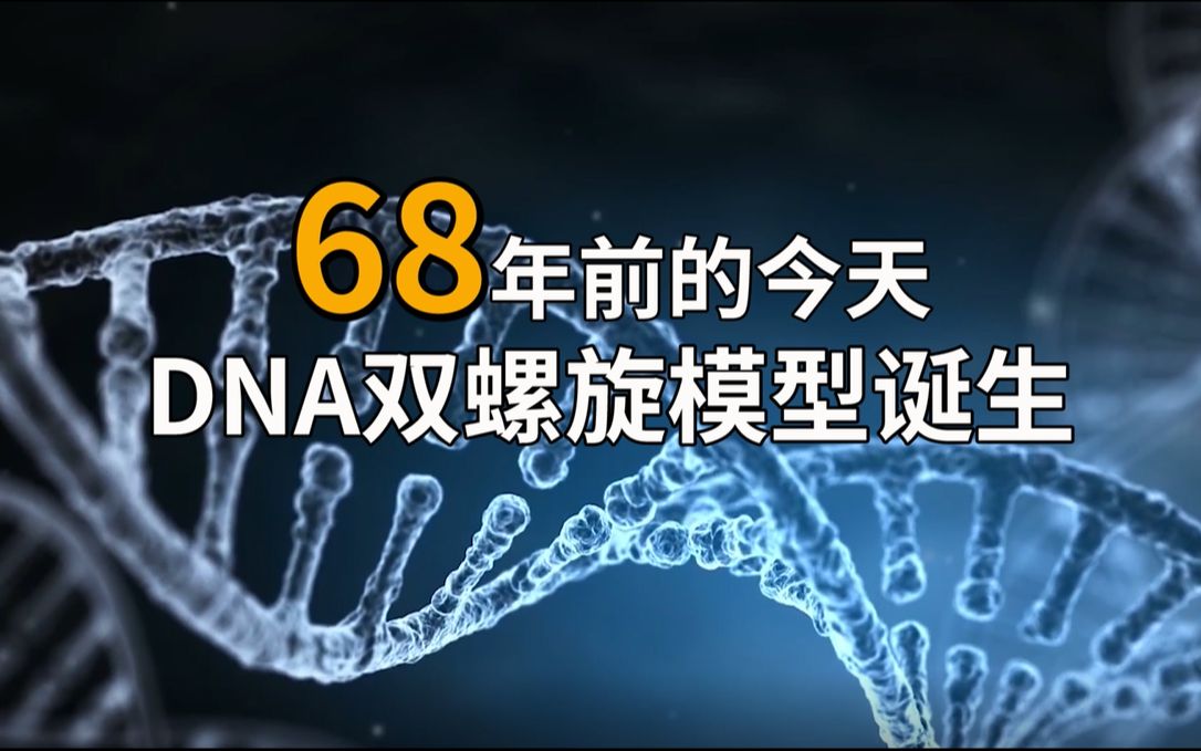 68年前的今天 dna双螺旋模型诞生 哔哩哔哩 つロ干杯 bilibili