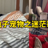 人在美国餐馆打工，干了一天受不了跑路了，回去躺平感到人生迷茫。找了个19岁的南美小女朋友，看到他跟别的男人出轨，想删联系方式又不舍得的删，最后被人甩了患得患失