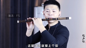 二胡曲谱陕北民歌泪蛋蛋掉在酒杯杯里