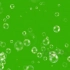 视频素材 ▏ k783 多款唯美小清新泡泡气泡上升动画特效黑屏幕绿屏抠像背景AE PR会声会影视频制作后期合成视频素材