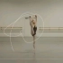 芭蕾舞动中的几何图形ballet rotoscope