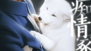 2bb3ba1dfc16b61ed63e928483cfdc40bcc215b5.jpg@310w_174h_1c_100q.jpg