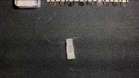 2bb952cc61587a46ea92df7c07c0812163e08a7c.jpg@280w_158h_1c_100q.jpg