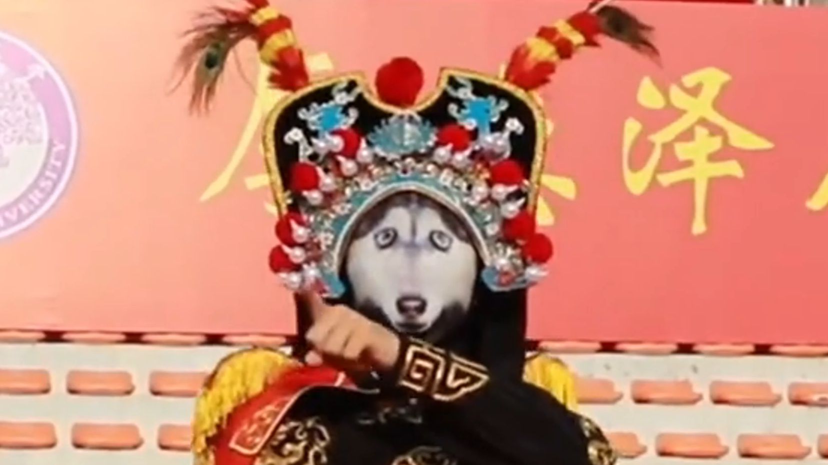 南昌大学开学典礼现川剧变脸整活，每一变都是惊喜！