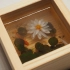【树脂画】人体3D打印机！画笔下创造出8×8的三维立体小木盒微景观