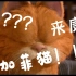 【名场面cut】加菲猫1——专治不开心！！！