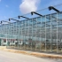 五分钟带你看完荷兰Venlo温室从开始建造到蔬菜生长的全过程