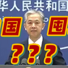 个别西方国家批评中国在国际市场囤粮？外交部霸气回应