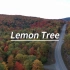 《Lemon Tree》，“一直期待着，你的出现”---好听的英文歌推荐合集