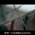 国外版电影自习室『中文字幕』
