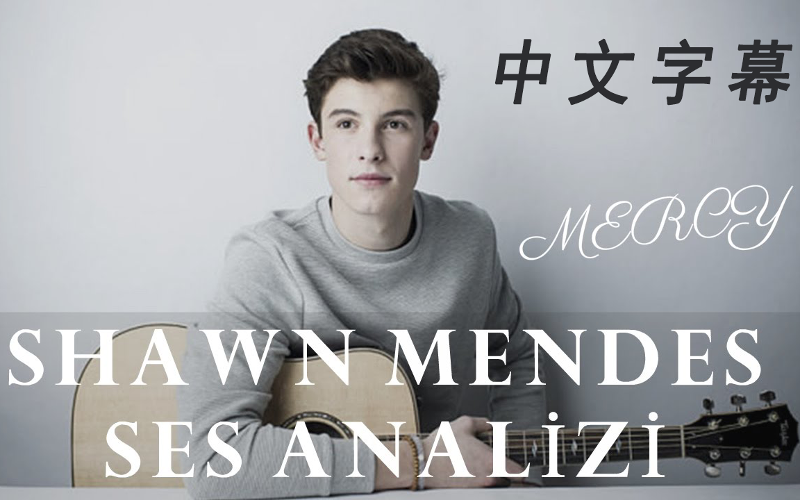 shawn mendes